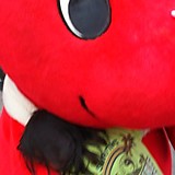 ナイトバロニス