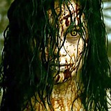 オオカミと鯖寿司