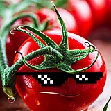 ちゅんちゅん丸