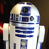 波乗りうーたん