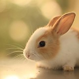 ガーネット💝マリア