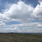 ガーガーバード