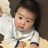 ニセコのラムさん