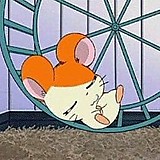 さきたろ🐹❤️❤️