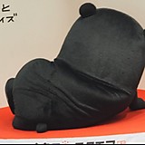 人生赢家科学家