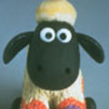 shaun