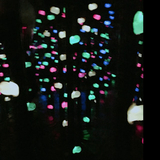 フライトキャット