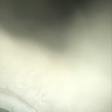 パワーバーストパラドックスゴット