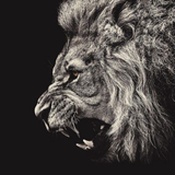 時々映画観る素人