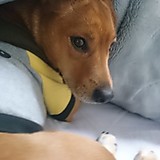 映画オタク(初心者)