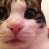 下まつ毛ふさ男