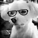 おまんた元気かね