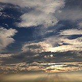 生涯で見た映画