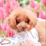 ヒナᑦᑋᵃᵑ.͙✼̥୭⁺