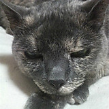 えりえりれま砂漠谷