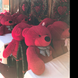 社交的なシャコ