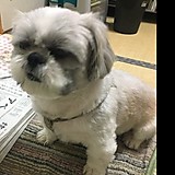 トム・ハンクス