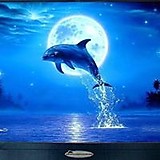 きたき やすいち