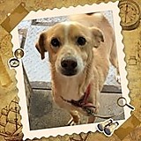 ニシシマモト サトル