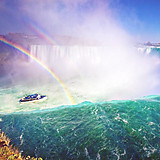 ⑅⁺˖- - - - -Miho- - - - -˖⁺⑅