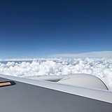 キングダンゴムシ