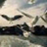 ふくちゃん！？