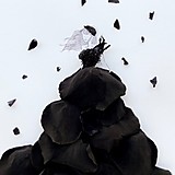 みにとまとあり