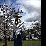 ボヘミアンラプソディ