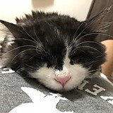 リーアム・マサソン