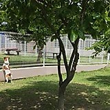 なかむら ともひろ