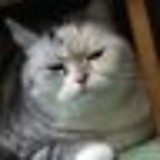 じゃすなかさん