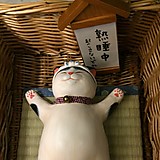 オールドツェッペリン