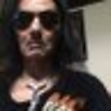 ワイルド キャット