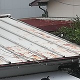 さっさっのさー