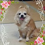 ゆかちゃん 💜