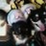 タイガースとおる