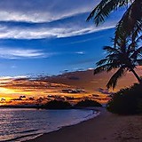 テクニシャン亜種