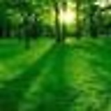 ケセラセラセラ