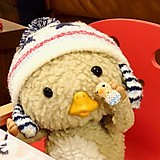 ふとあごひげとかげ