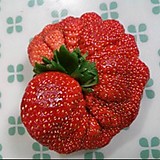 やまぐち ともこ