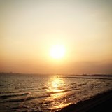 モンキーパンダ