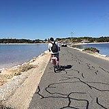 ナカザワ タイガ