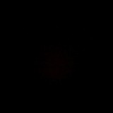 kubo@'19〜観た映画を✔︎