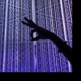 さては南蛮チキン