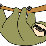 イツツユビナマケモノ