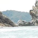 Ernesto Masao Oshiro Miyashiro