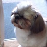 うなばらめざし