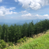 みにくいアヒルの子