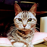 kumiとジュディー