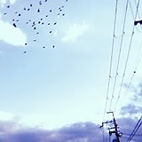 大どんでん返し